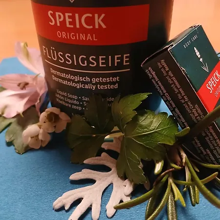 Alte Schule Prázdninový dům